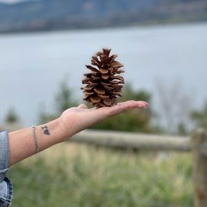 Meet your Posher, Lisa